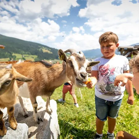 Felsenhof Hotel Flachau