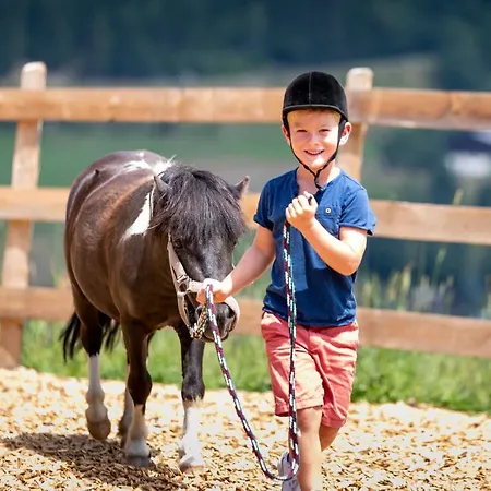 Felsenhof 4* Flachau