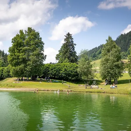 Hotel Felsenhof Flachau