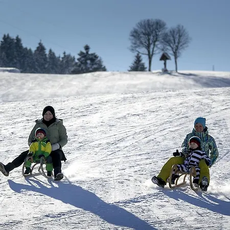 Felsenhof 4* Flachau