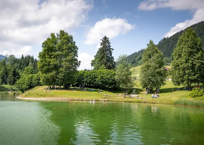 Otel Felsenhof Flachau
